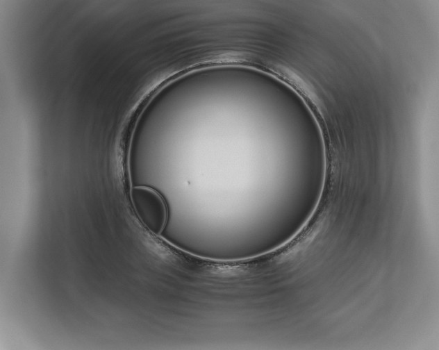 X0000110770835200906221140