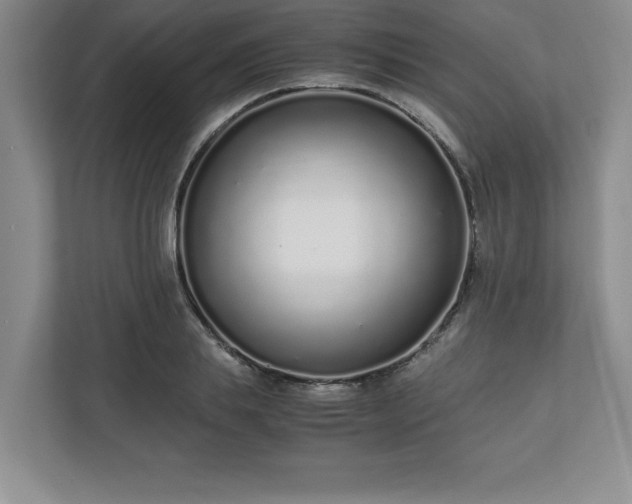 X0000110770839200906221140