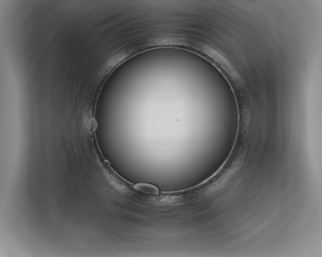 X0000110770841200906221140