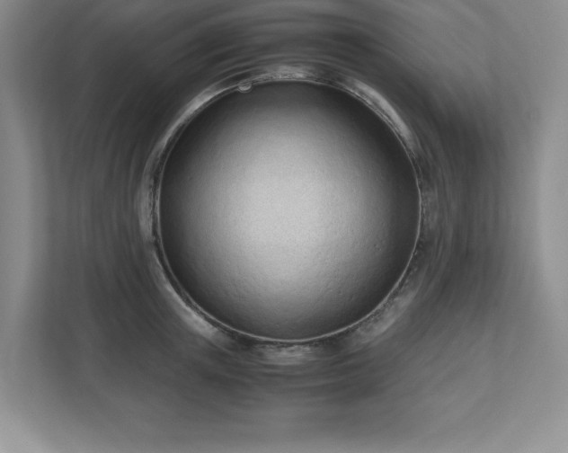 X0000110770851200906221140