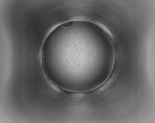 X0000110770854200906221141