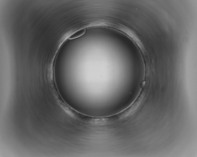 X0000110770858200906221141