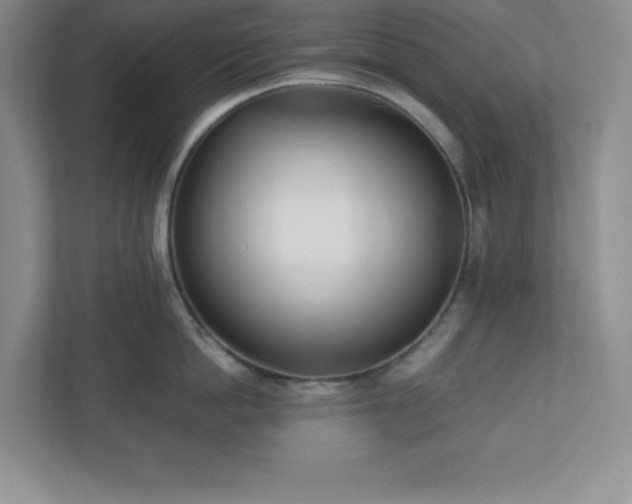 X0000110770862200906221141