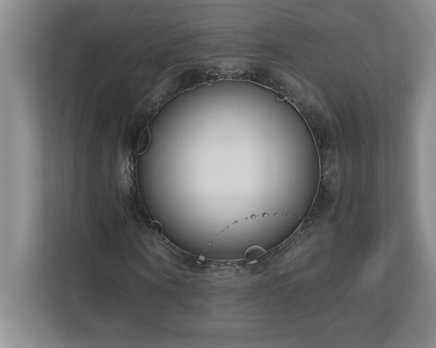 X0000110770866200906221140