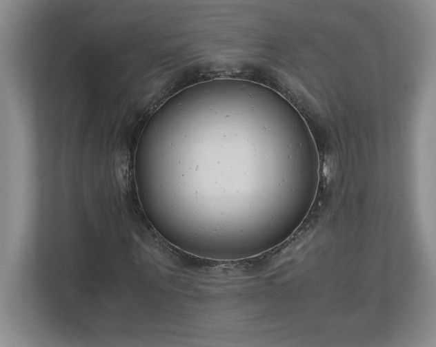 X0000110770867200906221140