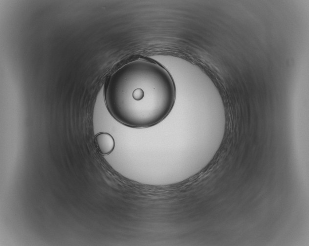 X0000110770868200906221140