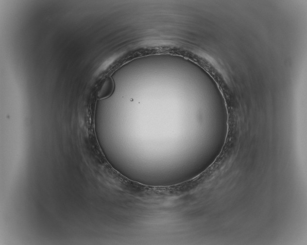 X0000110770871200906221140