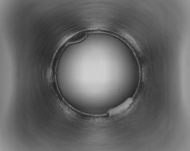 X0000110770876200906221140