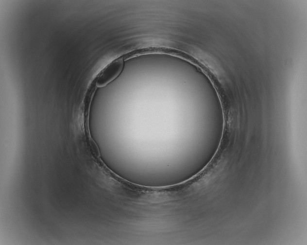 X0000110770877200906221140