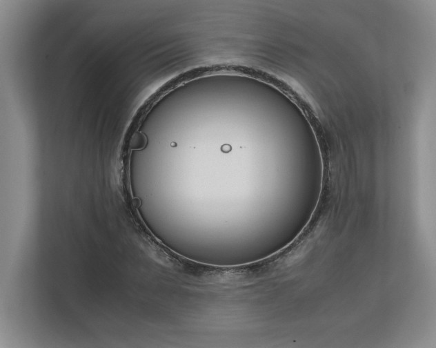 X0000110770879200906221140