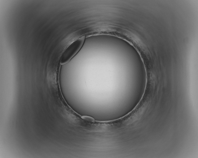 X0000110770881200906221140