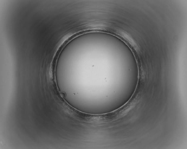 X0000110770883200906221140