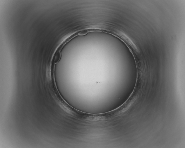 X0000110770884200906221140