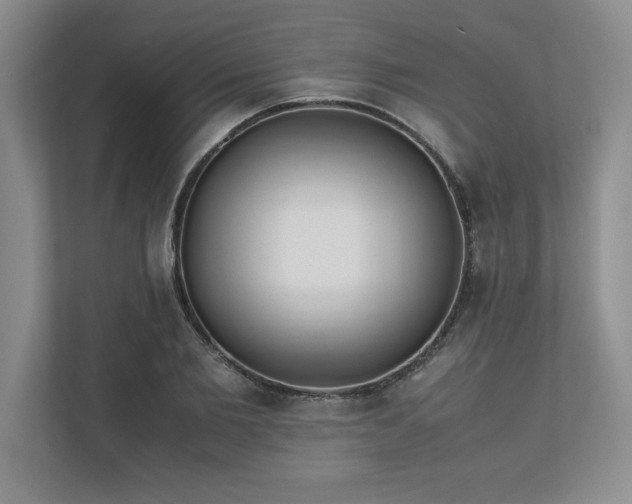 X0000110770885200906221140