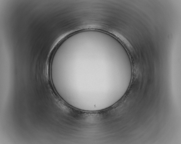 X0000110770886200906221140