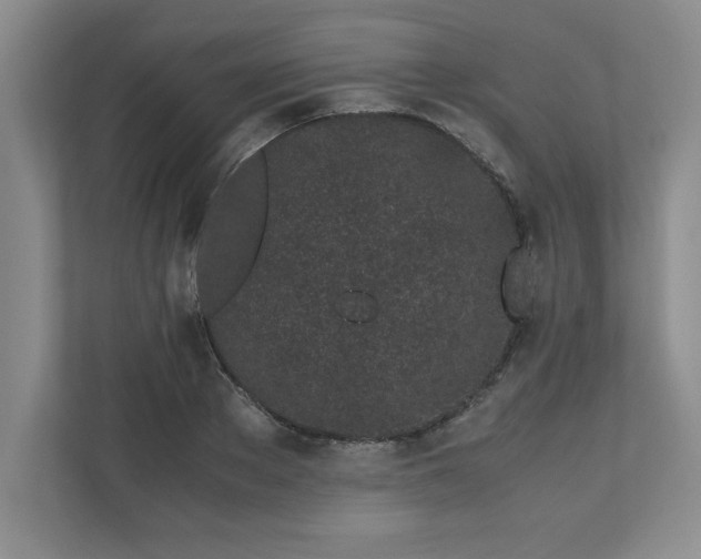 X0000110770889200906221140