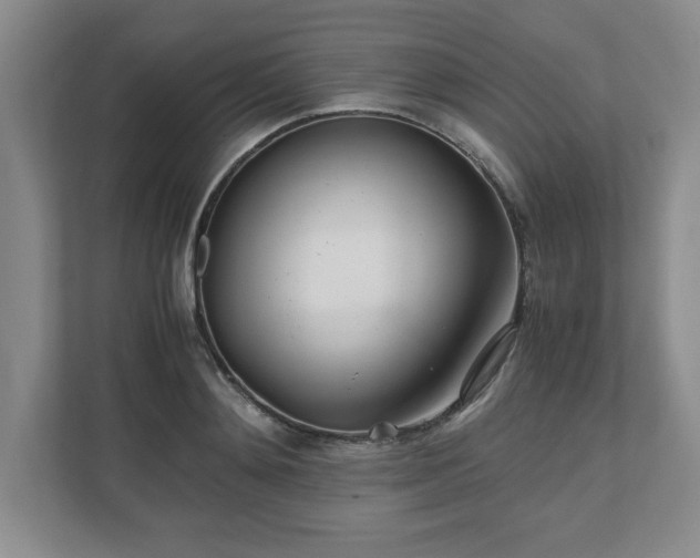 X0000110770892200906221140