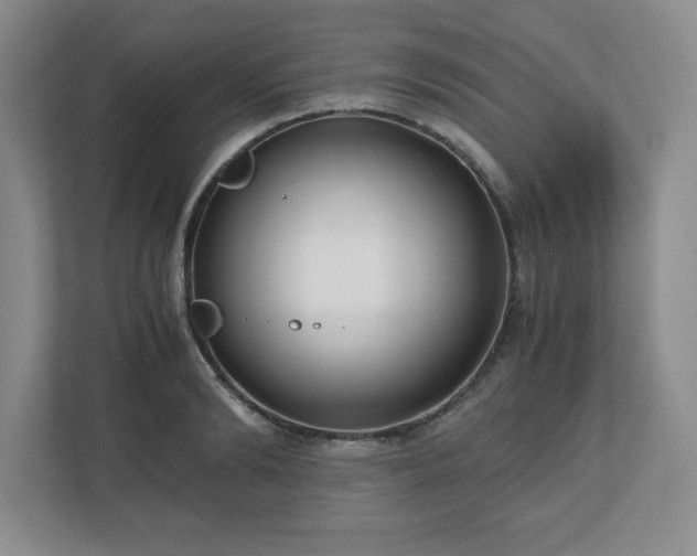 X0000110770894200906221140