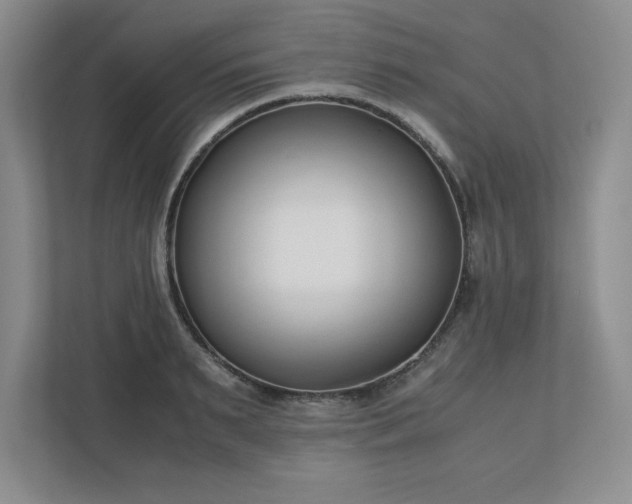 X0000110770895200906221140