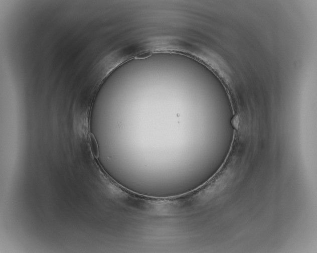 X0000110770897200906221140