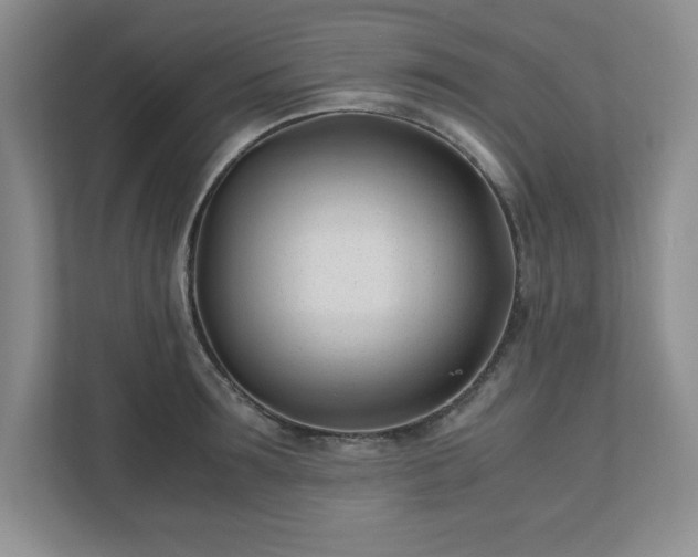 X0000110770899200906221140