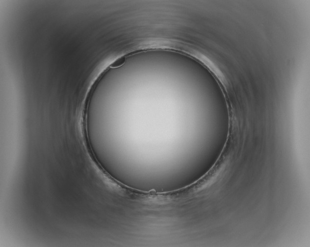 X0000110770901200906221140