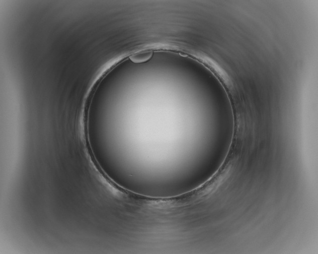 X0000110770902200906221140