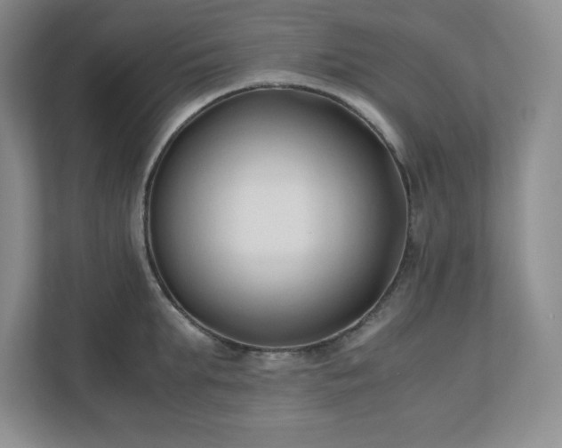 X0000110770903200906221140