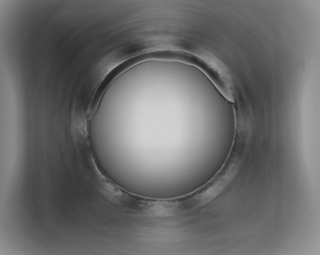 X0000110770905200906221140