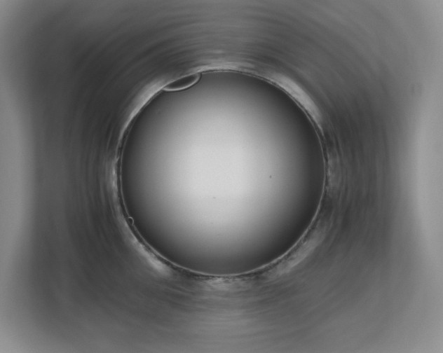 X0000110770906200906221139