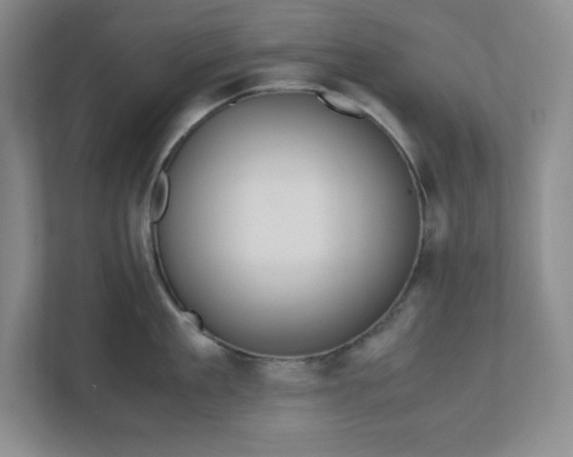 X0000110770909200906221139