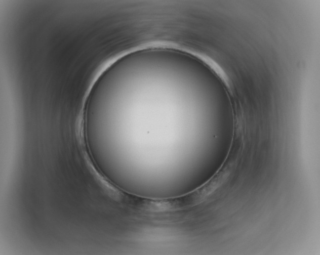 X0000110770911200906221139