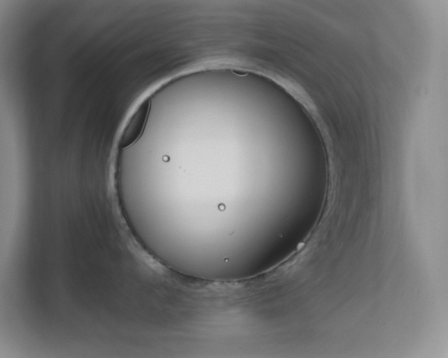 X0000110770912200906221139