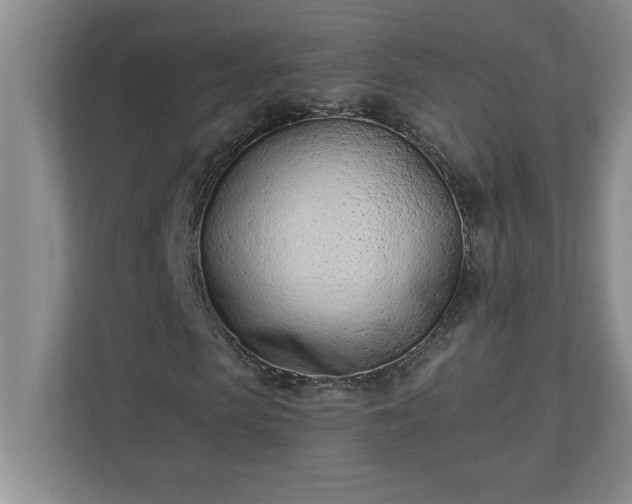 X0000110770913200906221139