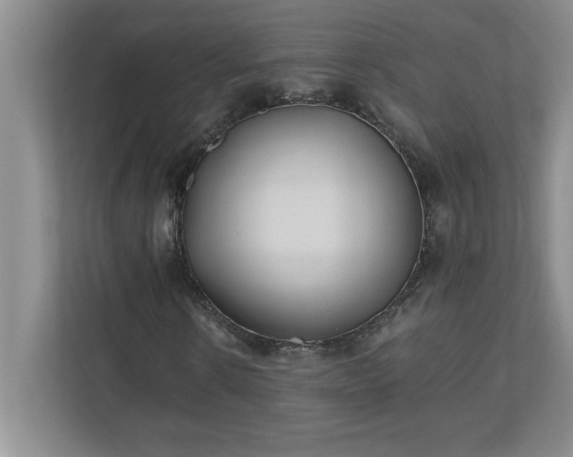 X0000110770914200906221139