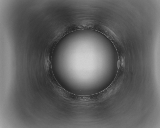 X0000110770915200906221139