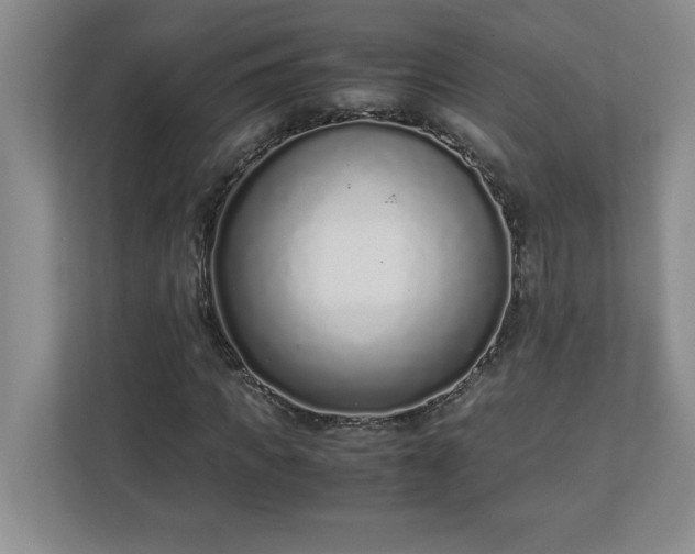 X0000110770917200906221139