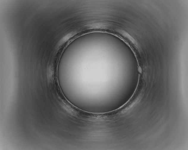 X0000110770922200906221139