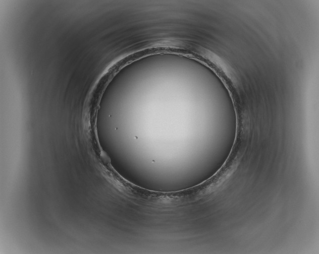 X0000110770923200906221139