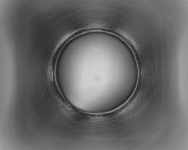 X0000110770925200906221139