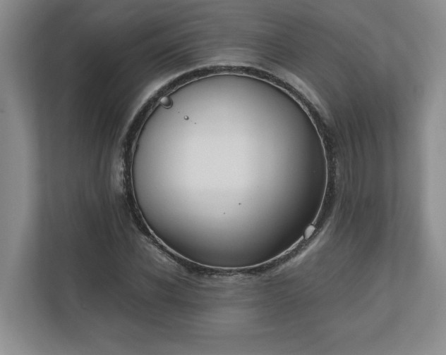 X0000110770926200906221139