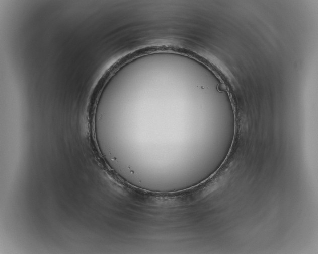 X0000110770927200906221139