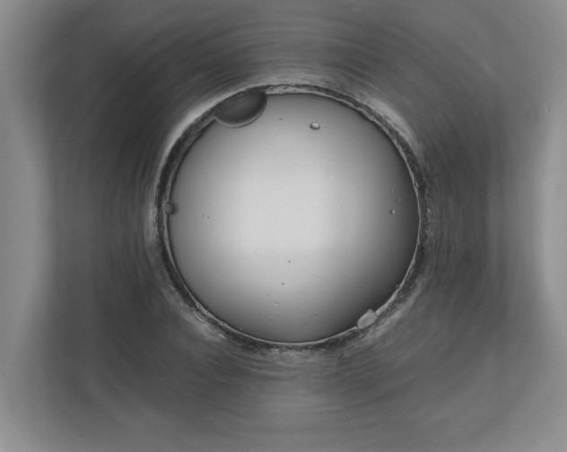 X0000110770928200906221139