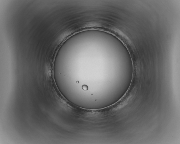 X0000110770929200906221139