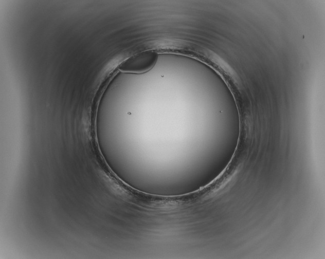 X0000110770930200906221139