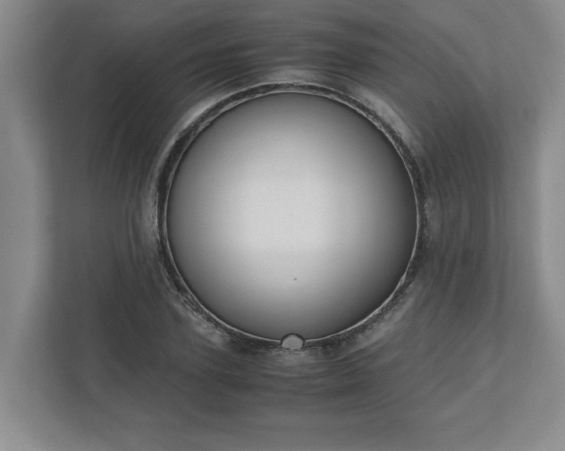 X0000110770931200906221139