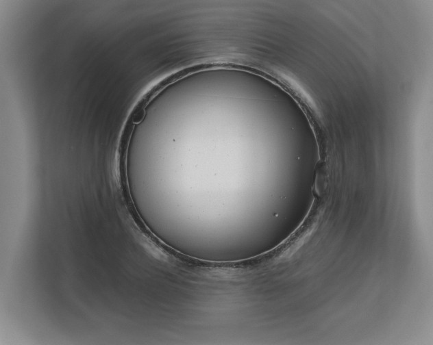 X0000110770932200906221139