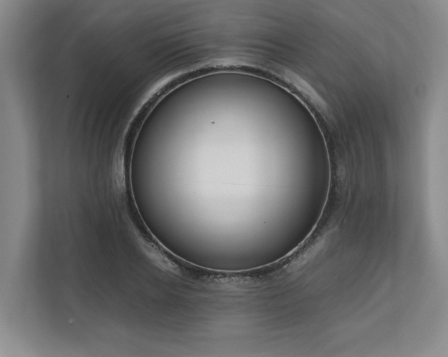 X0000110770934200906221139