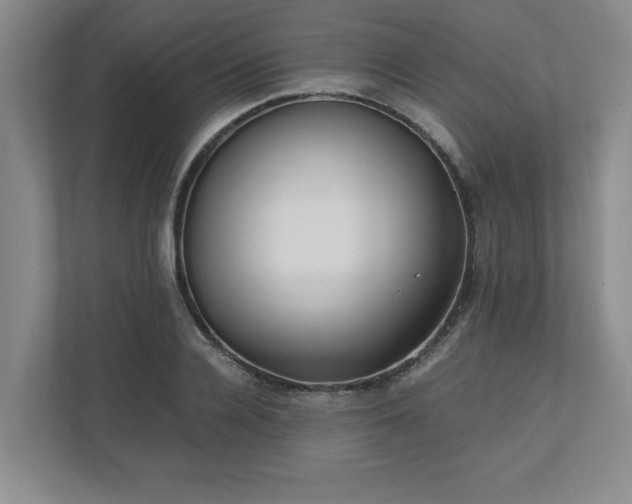 X0000110770936200906221139