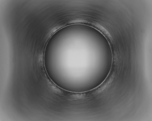 X0000110770937200906221139